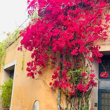 Casa Titti A Trastevere 펜션
